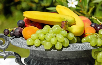 개복숭아효소의 효능 한눈에 보기 23