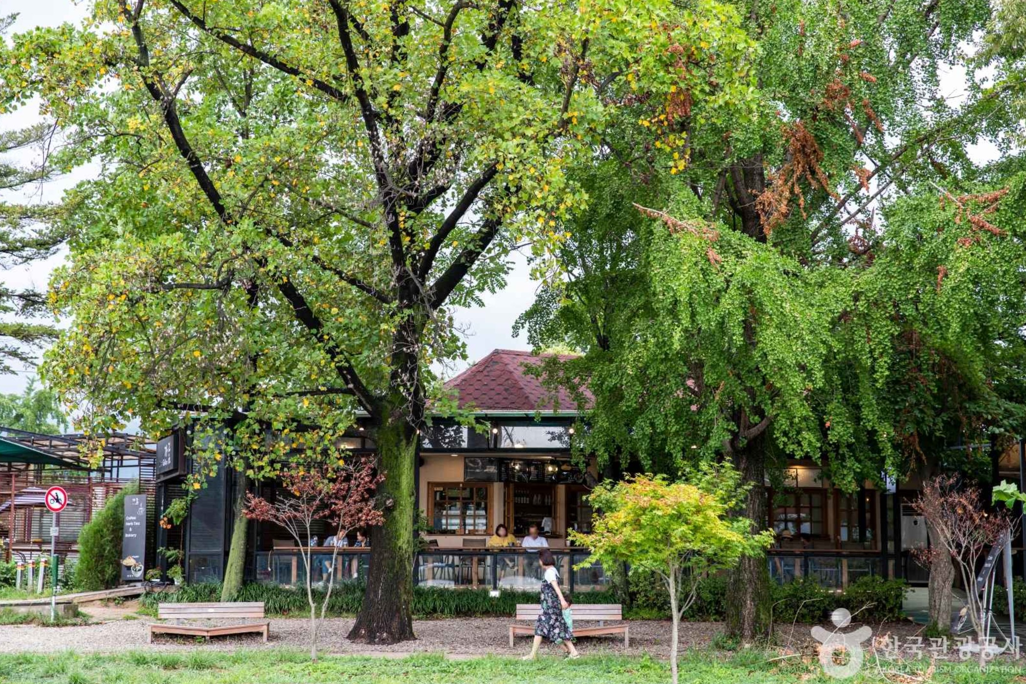 양평-두물머리의-카페