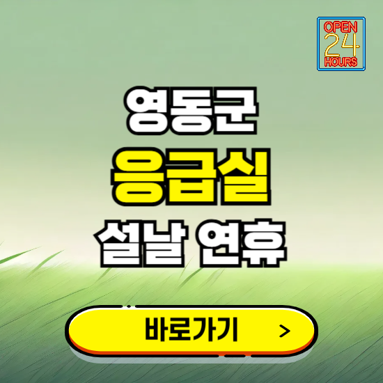 영동군 설날 연휴 비상진료 응급실 병원 찾기 ❘ 내근처 24시 야간 심야 휴일 가능한 곳