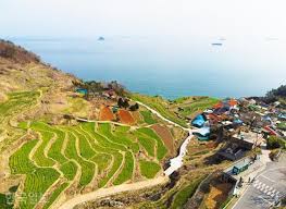 남해 가볼만한곳 베스트: 다랭이마을