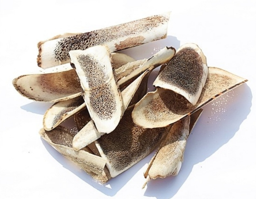 야생에서 사슴의 뿔이 단단해지면서 탈락을 한 것을 편으로 얇게 썰어 놓은 녹갹을 하얀 바닥 위에 여러 개 놓아두고 찍은 사진