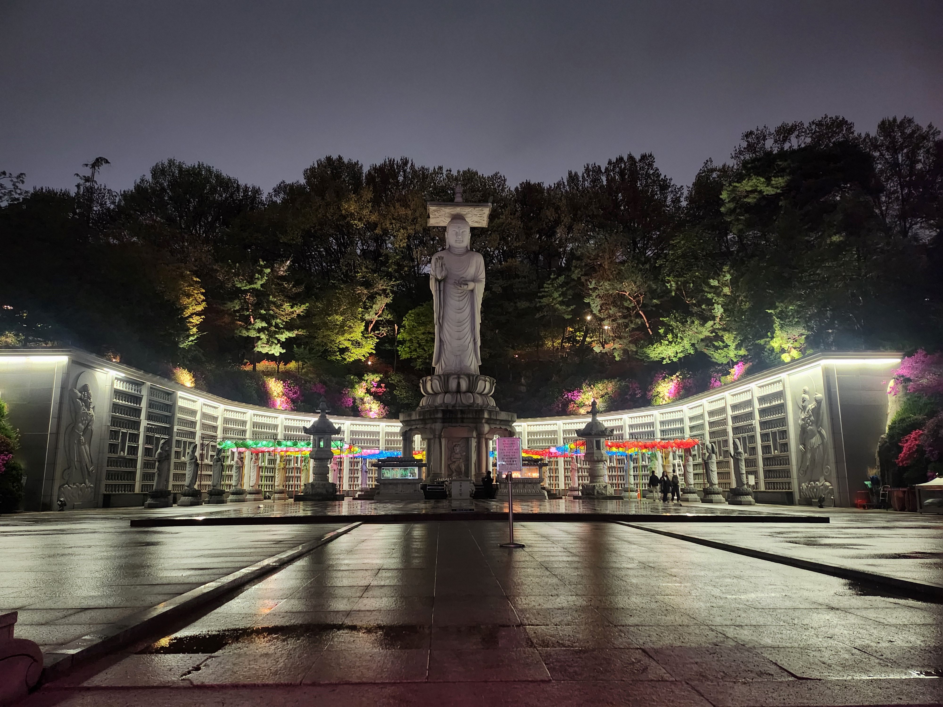 2025. 4. 19. 봉은사 연등제 야경 산책 후기 (겹벚꽃, 라일락, 홍매화 개화상황 포함)