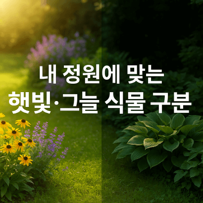 [정원가꾸기_기초편] 내 정원에 맞는 햇빛·그늘 식물 구분법 : 빛의 조건에 따른 식재 가이드