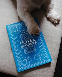 '펫 포트폴리오' 서비스