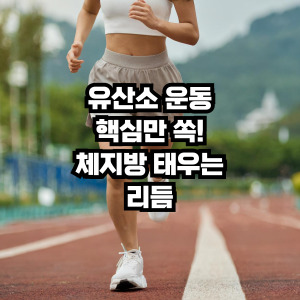 유산소운동효과