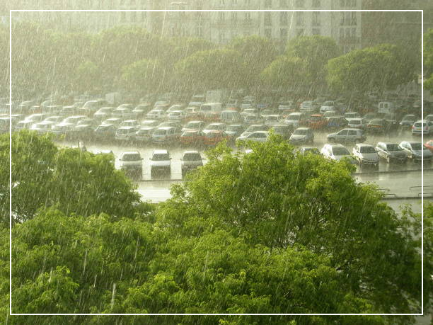 강수량 통계 확인