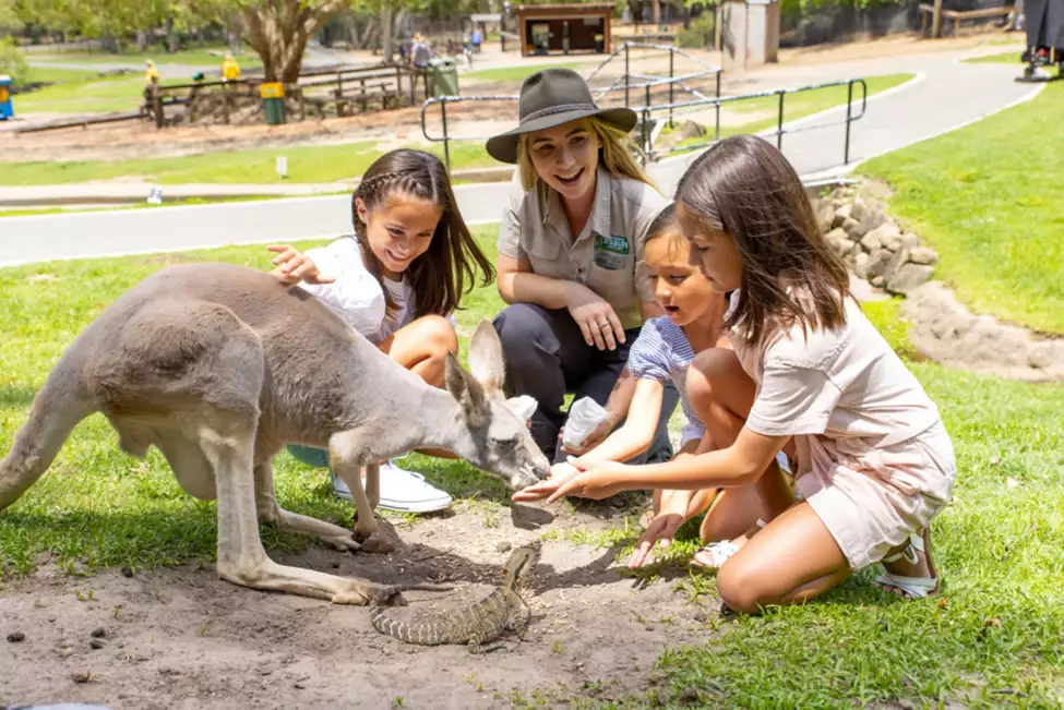 currumbin wild life sanctuary 에서 캥거루 만지는 사진