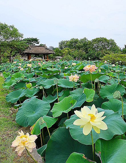 여름국내여행지