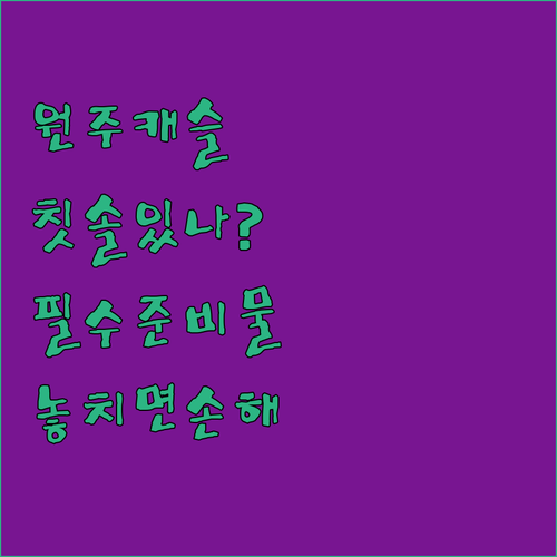 원주 캐슬호텔 투숙 전 확인해야 할 ..