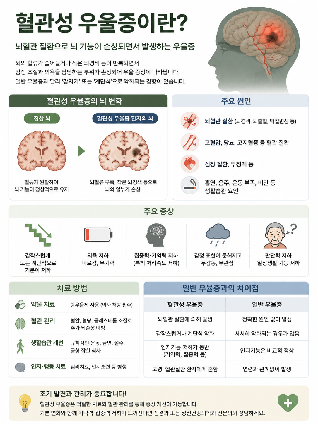 혈관성 우울증에 대한 설명