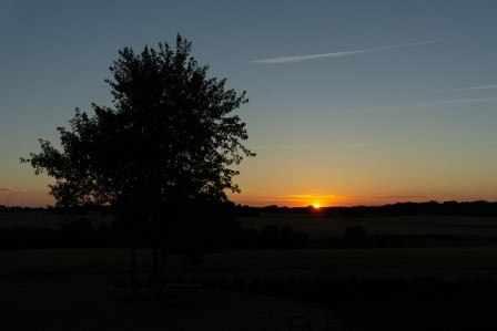 마음 챙김의 실천과 효과