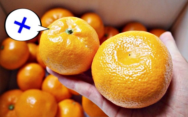 귤 오래 보관하는 방법,귤 보관법,귤 오래두고 먹는방법,팁줌 매일꿀정보