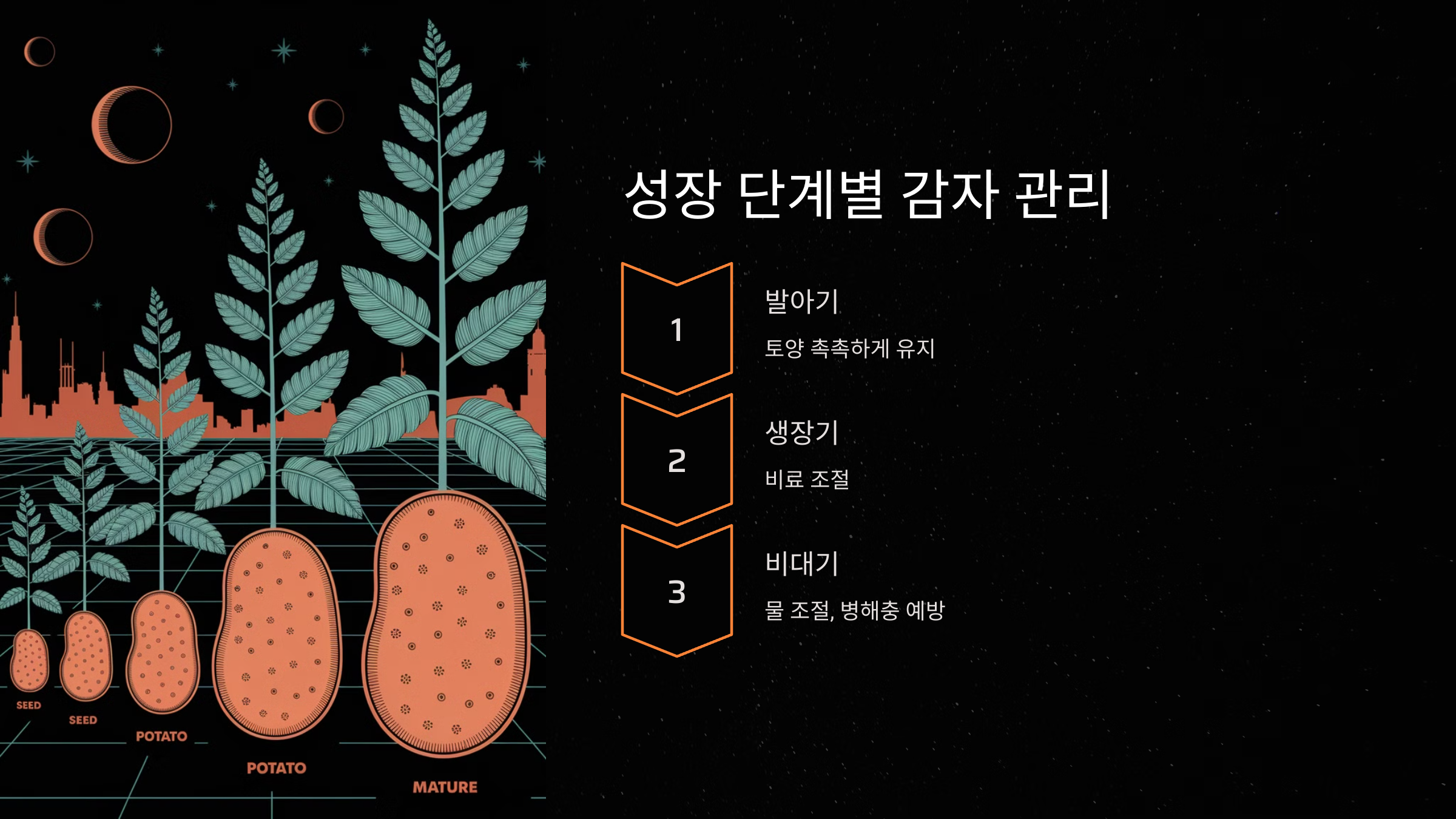 성장 단계별 감자 관리 요령