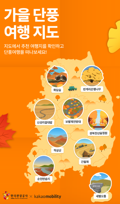 2025 단풍시기 완벽 가이드: 전국 단풍지도부터 화담숲, 서울 단풍명소까지!