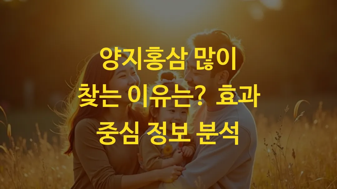 양지홍삼 많이 찾는 이유는? 효과 중심 정보 분석
