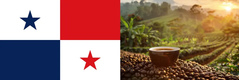 파나마국기와 커피