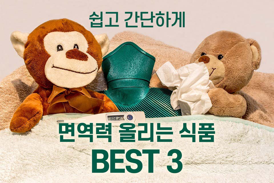 쉽고 간단하게 면역력 올리는 식품 BEST 3