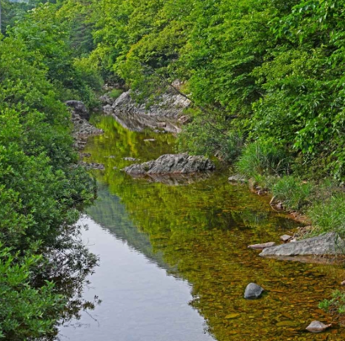 보은 가볼만한곳 베스트10