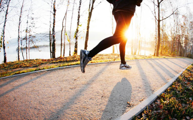 아침 유산소 운동의 과학적 이점 (심박수, 기초대사량, 수면)