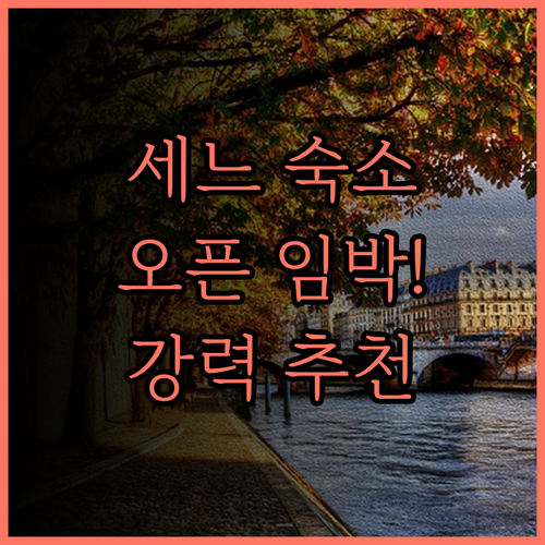 안주의 R&F 세느 지역.. 2024