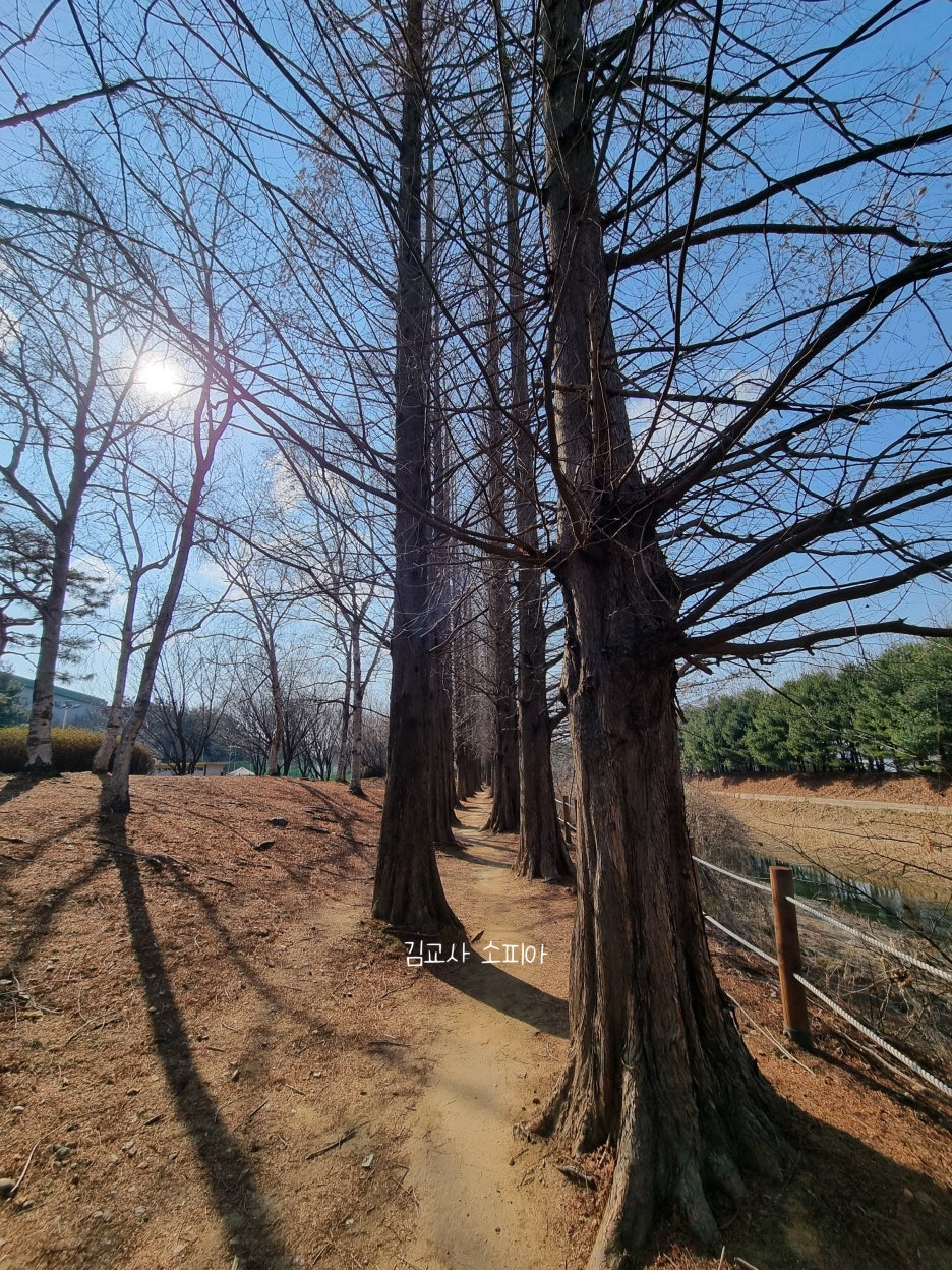 고양피크닉시민 공원 이용 후기 🏞️🌿&amp; 팁