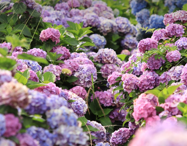 체험 프로그램 소개