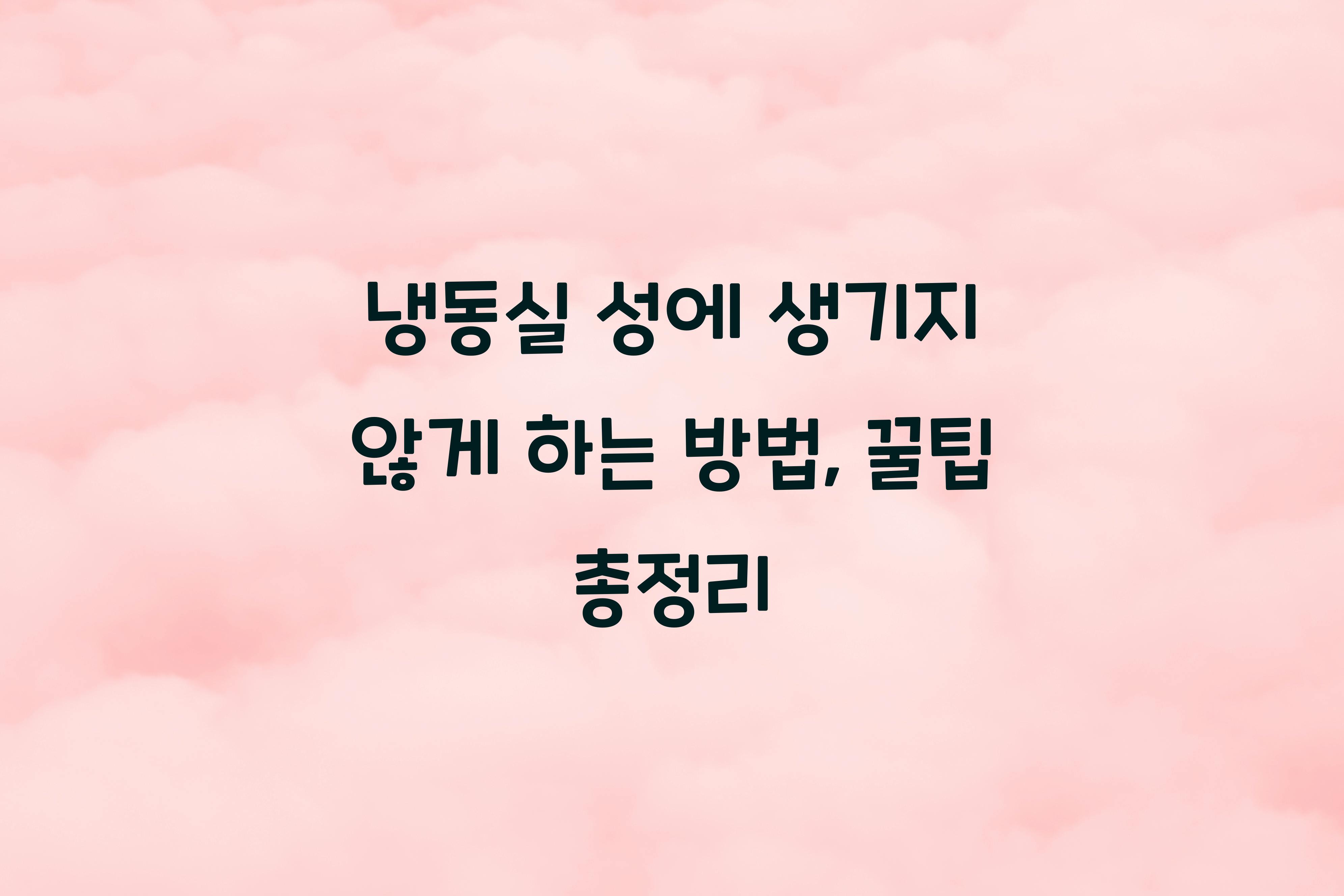 냉동실 성에 생기지 않게 하는 방법