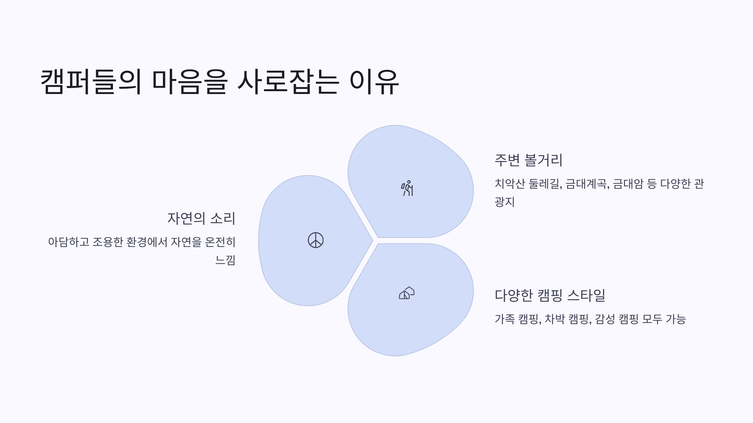 🌿치악산 금대 야영장, 자연 속에서의 진짜 쉼!