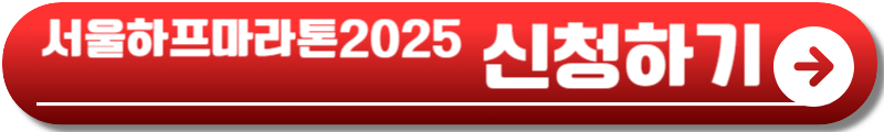서울하프마라톤 2025