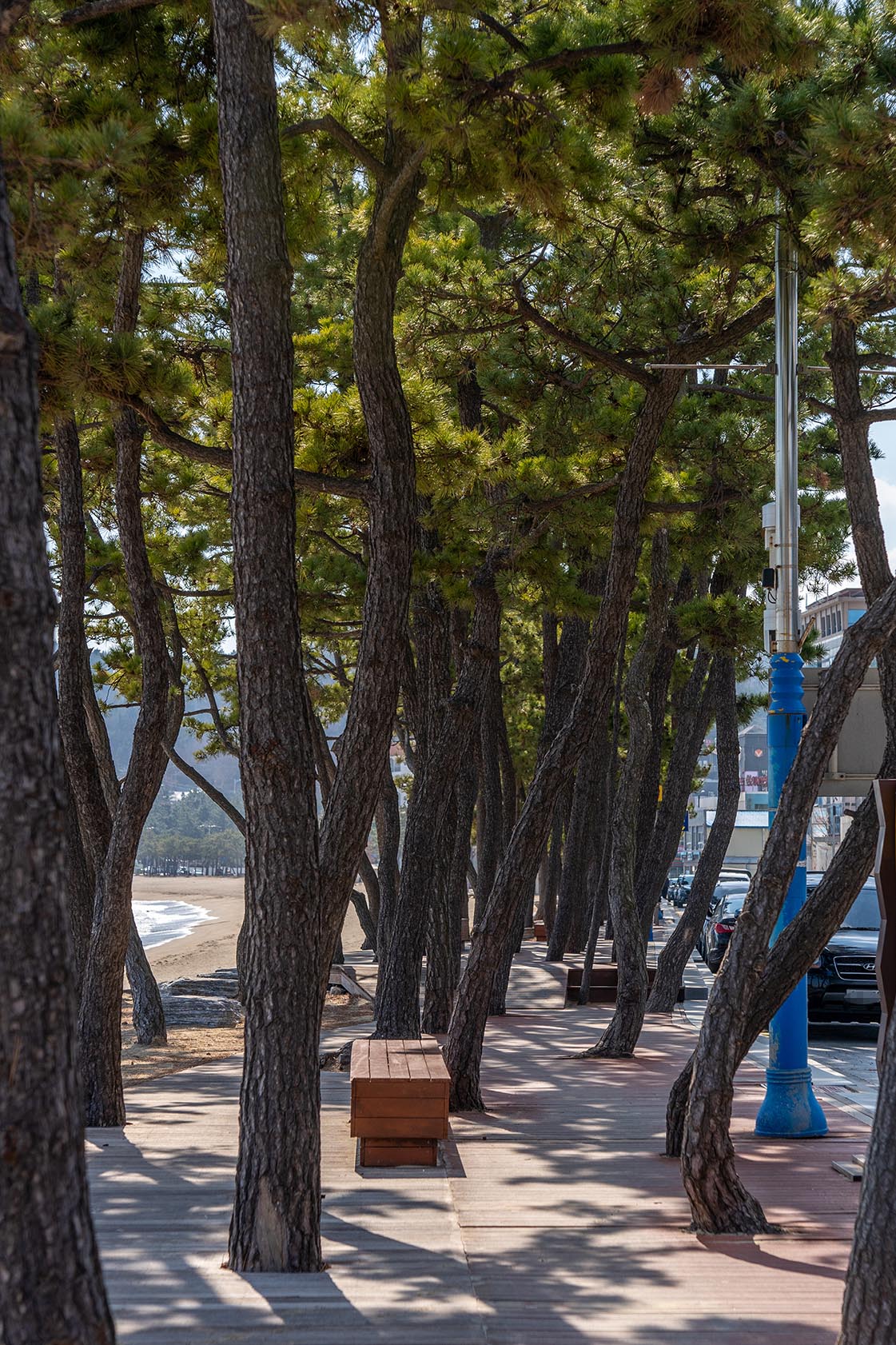 진하해수욕장