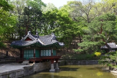 창덕궁-후원-사전-예약-필수-정보
