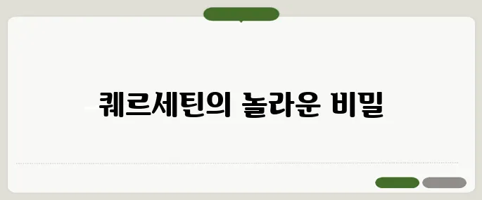 퀘르세틴 효능 항염작용으로 인기 폭발