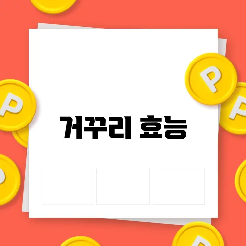 거꾸리 효능