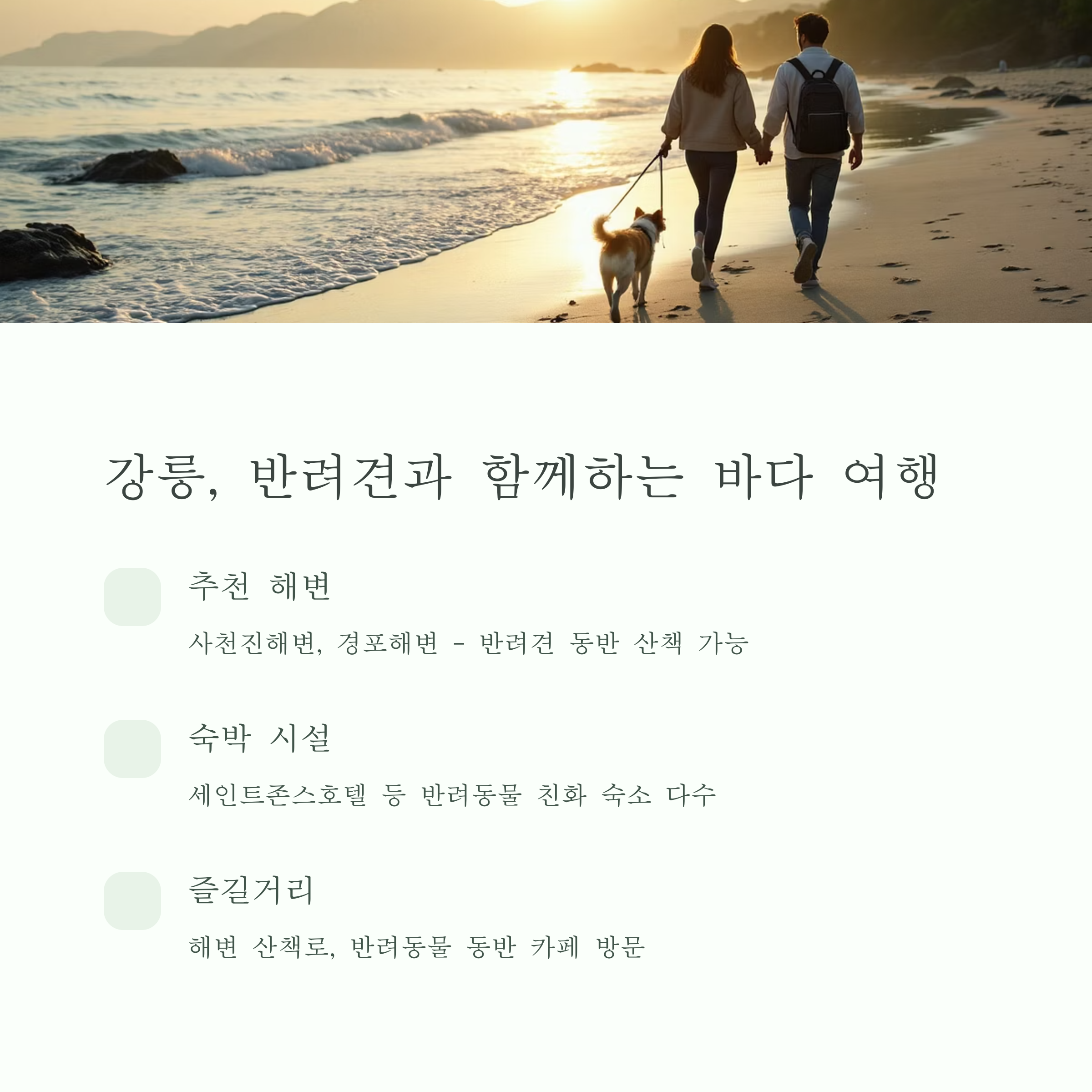 강릉, 반려견과 함께하는 바다 여행