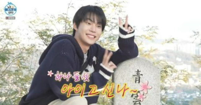 nct 도영