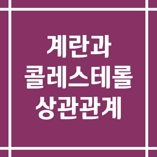 계란은 매일 먹으면 콜레스테롤이 높아진다