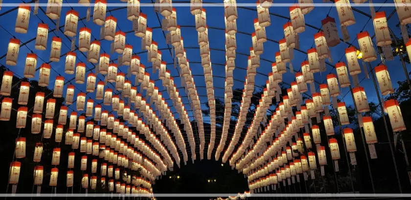 영광 불갑산 상사화축제