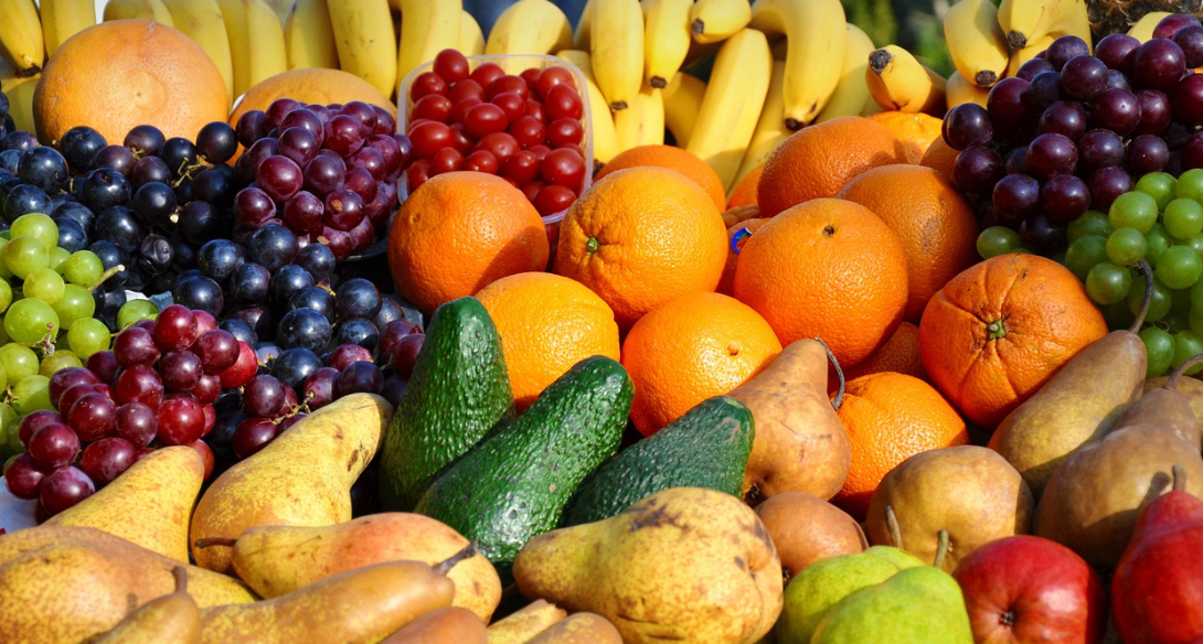 파이토케미컬이란?