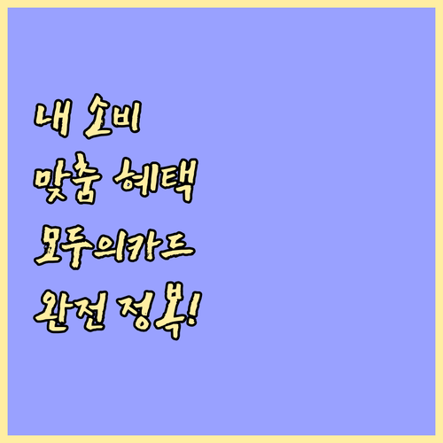 나의 소비 패턴에 맞는 모두의카드 스..