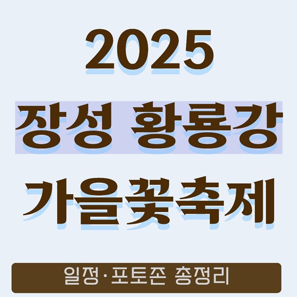 2025 장성 황룡강 가을꽃축제｜전남 대표 가을꽃 명소 총정리