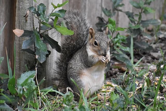 숨은 보험금 11조원! 내 돈 찾는 완벽 가이드