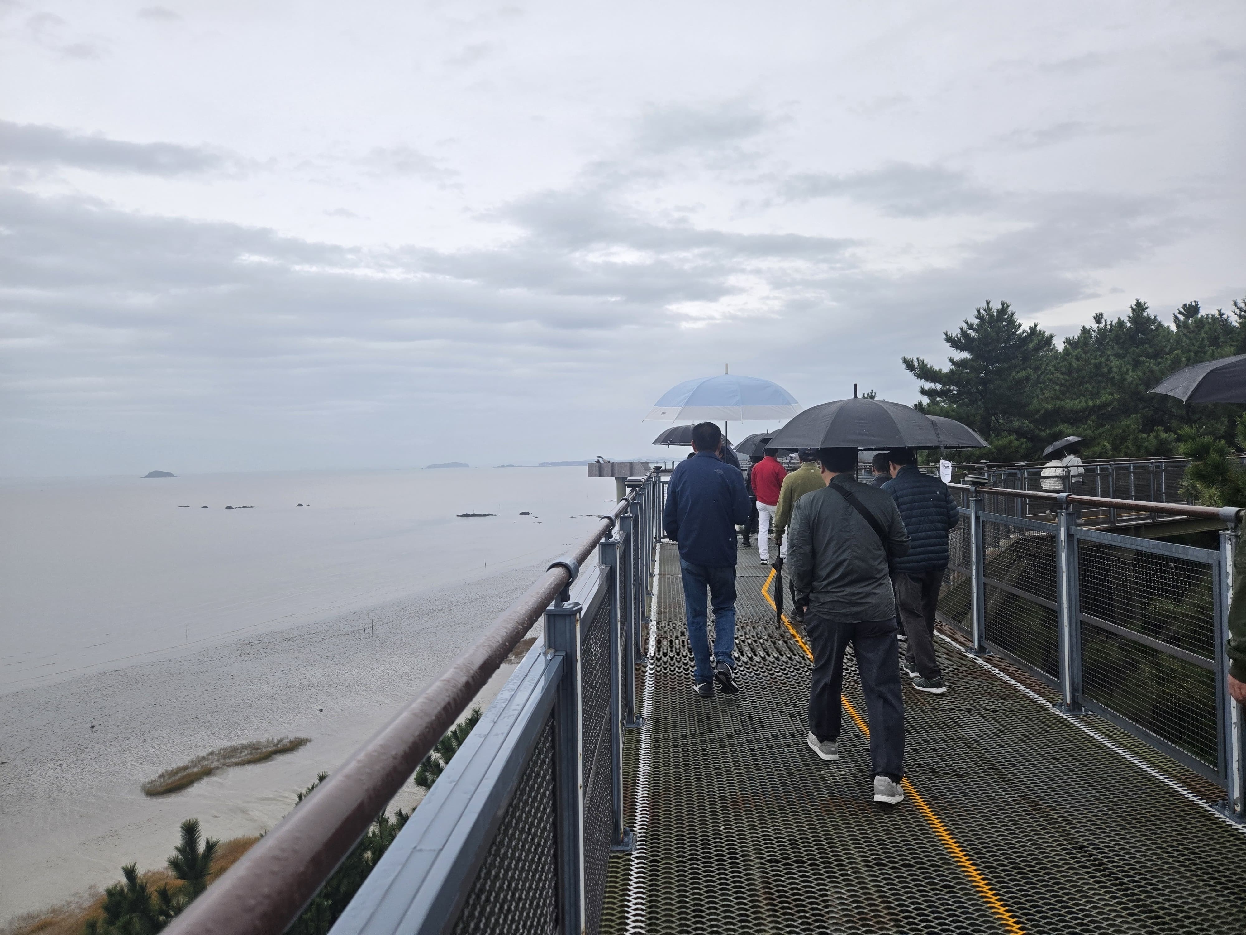 송림숲을 걷고 나서는 장항 스카이워크로 향했습니다.