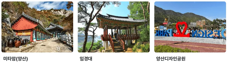 원동 미나리축제 25년 완벽 가이드