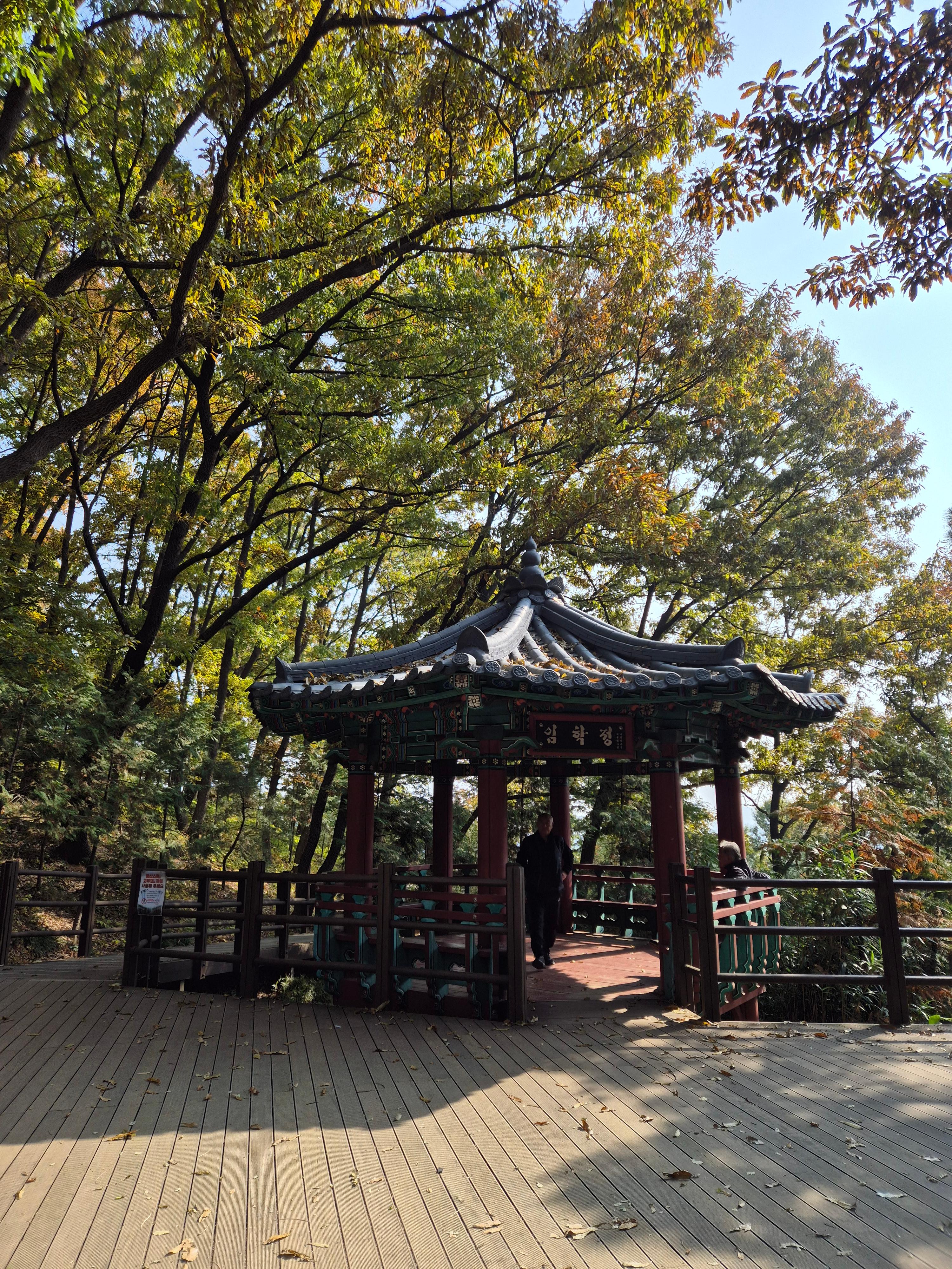 임학정