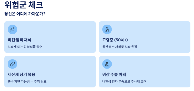 비타민b12 효능