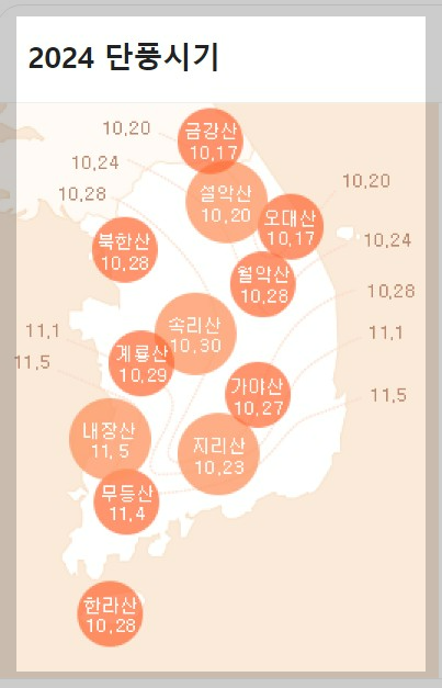 2024 전국 단풍 실시간 확인하기