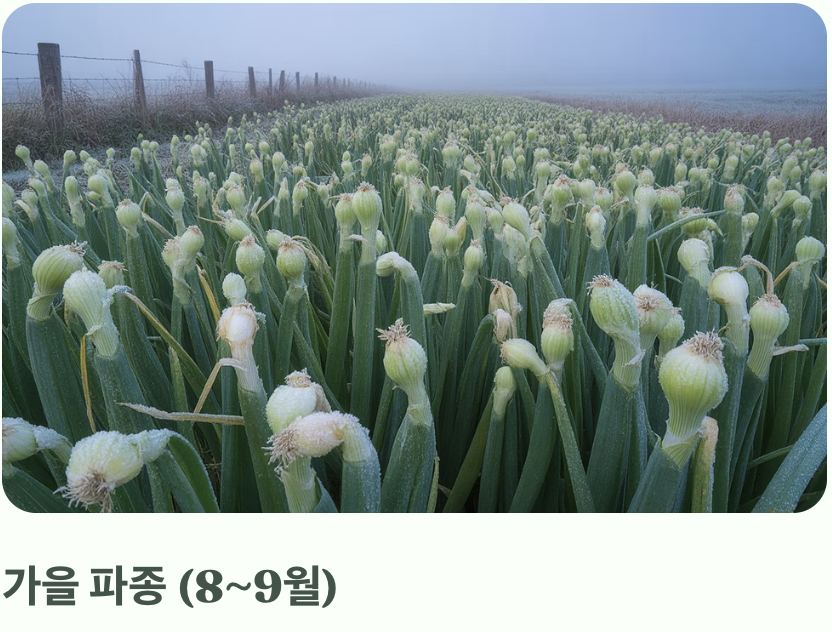 그래서, 나에게 맞는 최적의 날짜는?