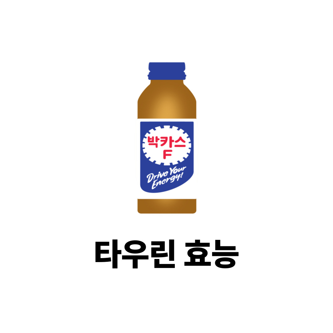 타우린효능