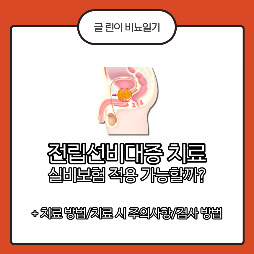 전립선비대증 치료
전립선비대증 실비보험
전립선비대증 실비
전립선비대증 주의사항
전립선비대증 검사 방법
