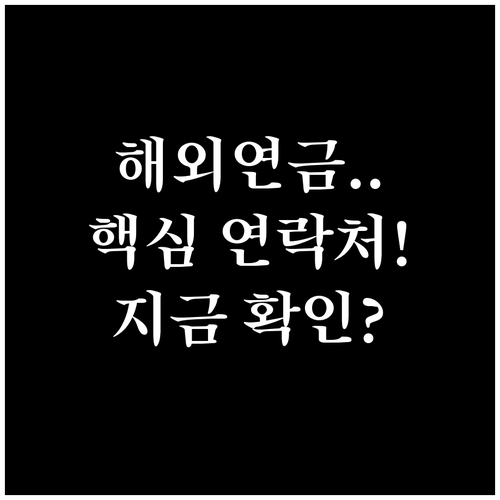 해외에서 국민연금 상담받는 법과 전용..